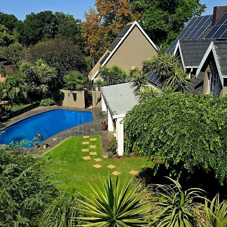 Wild Tree Lodge Benoni Exterior photo