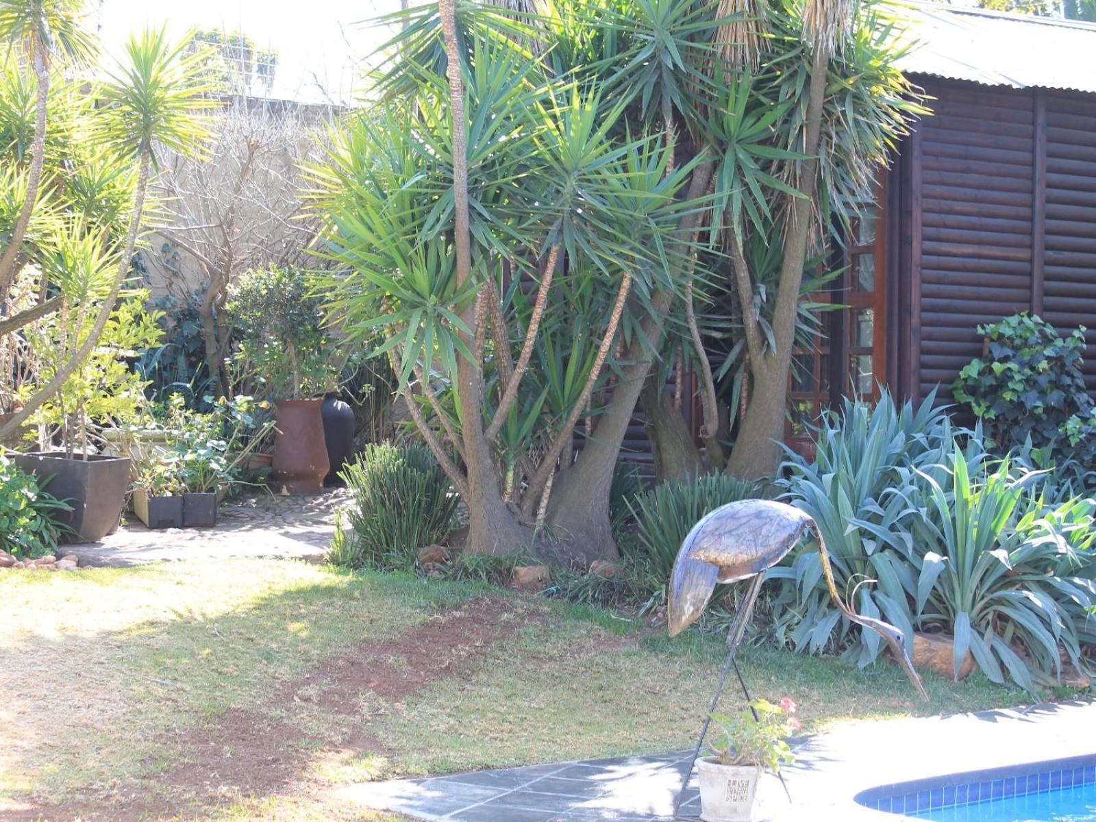 Wild Tree Lodge Benoni Exterior photo