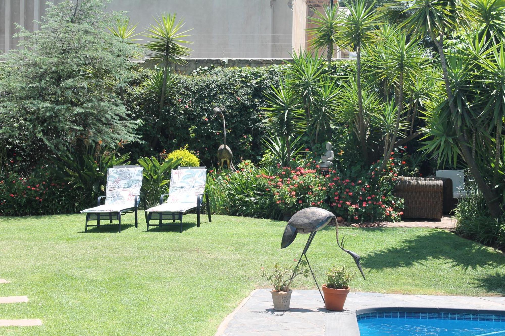 Wild Tree Lodge Benoni Exterior photo